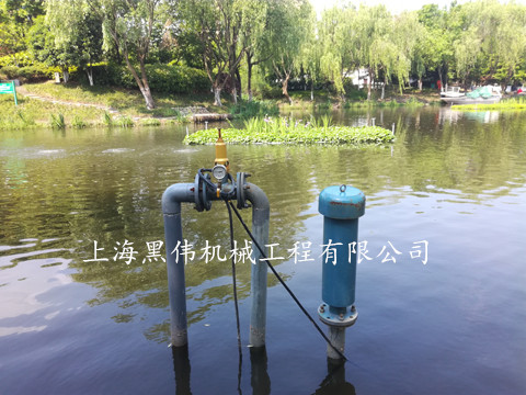 河道治理沉水式鼓风机 河道治理沉水式鼓风机