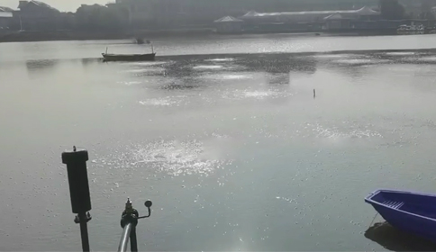 黑伟沉水风机